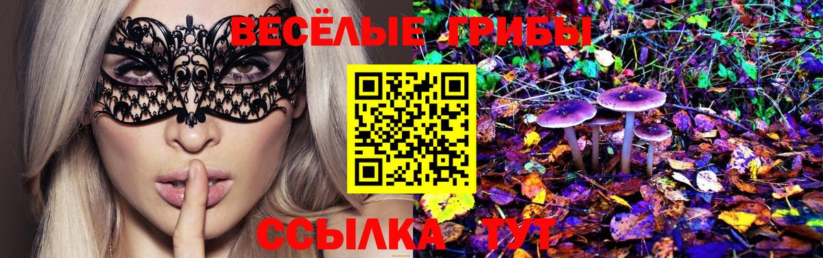 Псилоцибиновые грибы ЛСД  Вход с VPN  Дубна 